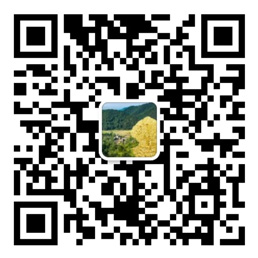 55世纪首页
